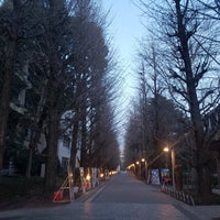 Photo taken at Gingko Trees by Nao on 3/22/2023