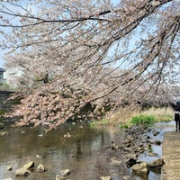 Photo taken at 恩田川沿い by Nao on 4/2/2023