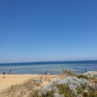 ricketts point dog beach
