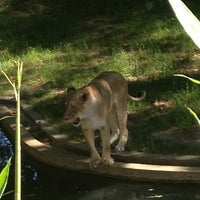 Foto scattata a Smithsonian’s National Zoo da Jenna D. il 5/26/2013