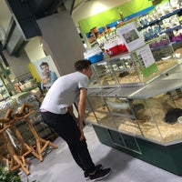 Aveve Garden Center In Ninove