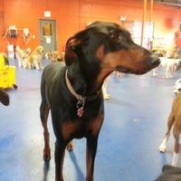 Photo taken at Urban Pooch Canine Life Center by Ryan B. on 5/1/2013