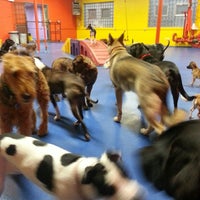 Photo taken at Urban Pooch Canine Life Center by Ryan B. on 4/10/2013