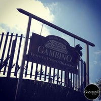 Photo taken at Gambino Vini by Gambino Vini on 11/12/2014