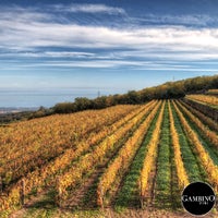 11/12/2014 tarihinde Gambino Viniziyaretçi tarafından Gambino Vini'de çekilen fotoğraf