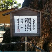 小鹿神明社のクス 静岡市 静岡県