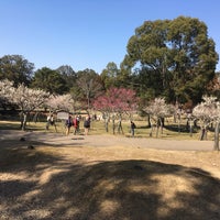 片岡梅林 1 Tip 片岡梅林 1 Tip