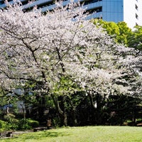 Photo taken at Kyu Shiba Rikyu Garden by Polo on 4/10/2024