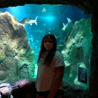 Photo taken at SEA LIFE Charlotte-Concord Aquarium by Heather G. on 7/29/2020