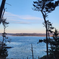 Photo taken at Point Lobos State Reserve by Max G. on 1/6/2024