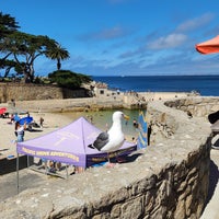 Photo taken at Lovers Point Park &amp;amp; Beach by Max G. on 8/3/2023