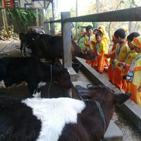 Photo taken at Istana Susu Cibugary (Cibubur Diary Farm) by Wisata Agro Edukatif Cibugary W. on 11/24/2014