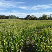 Photo taken at The Maize at the Pumpkin Patch by RC on 10/17/2020