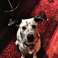 Fromm Family Pet Food - A 5th Generation Family Owned & Operated Pet Food  Company