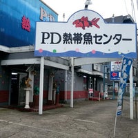 ピーデー熱帯魚センター 武蔵村山のペットショップ