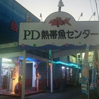 ピーデー熱帯魚センター 武蔵村山のペットショップ