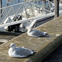 10/31/2022にMがCedar Island Marinaで撮った写真