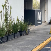 Multimedios Televisión - Arts and Entertainment in Monterrey