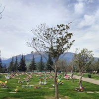 Photo prise au Cementerio Parque El Prado par J. Pablo V. le9/19/2023