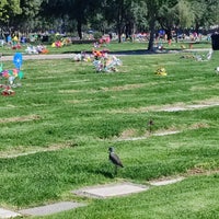 Foto scattata a Cementerio Parque El Prado da J. Pablo V. il 3/17/2024