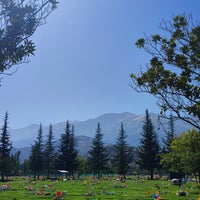 Photo prise au Cementerio Parque El Prado par J. Pablo V. le3/17/2024