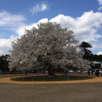 越前市立味真野小学校 越前市 福井県 越前市立味真野小学校 越前市 福井県