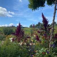 Das Foto wurde bei Lynmar Estate Winery von Ricky P. am 9/19/2021 aufgenommen