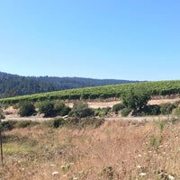 Littorai Wines Estate Winery - Winery