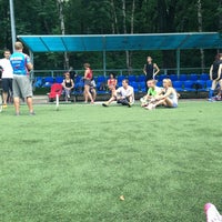 Футбольное поле Нескучный сад