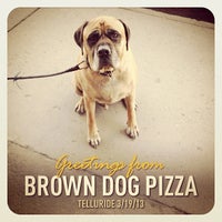 Brown Dog Pizza - Pizza Place in Telluride