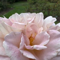 Photo taken at Rose Garden by Robert T. on 10/7/2022