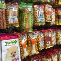 dog swallowed fish bone