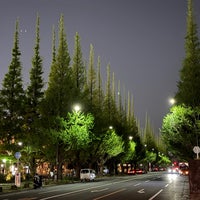 Photo taken at Jingu Gaien Ginkgo Avenue by Daiki S. on 4/19/2024