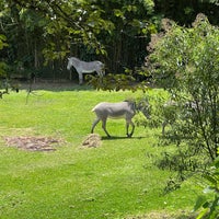 Photo taken at Fundação Parque Zoológico de São Paulo by Ilona G. on 11/21/2022