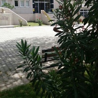 Gelecek Partisi Kurucu Canakkale Il Baskani Kumar Baskininda Yakalandi