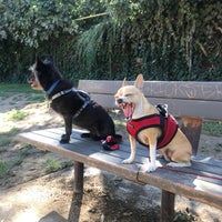 Photo taken at Bellevue Park by Erica N. on 8/25/2019