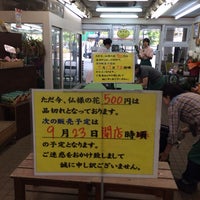 東京フラワーマーケット 西葛西メトロ店 Flower Shop In 葛西 東京フラワーマーケット 西葛西メトロ店 Flower Shop In 葛西