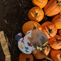 Photo taken at Clancy&amp;#39;s Pumpkin Patch by Brienne Lee B. on 10/14/2018