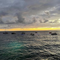 7/13/2021 tarihinde Gracefaceziyaretçi tarafından Rays on the Bay'de çekilen fotoğraf