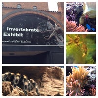 Photo taken at Invertebrate House by Michelle J. on 6/21/2014
