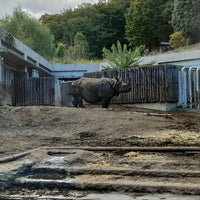 Photo taken at Rhinoceros by Macha a. on 10/7/2023