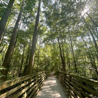 Photo taken at First Landing State Park by Hurly H. on 7/21/2022