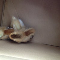 Aveve Maarschalk Haiglaan 120