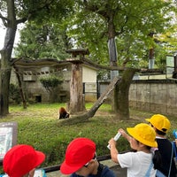 Photo taken at Yagiyama Zoological Park by Stephen W. on 9/26/2023