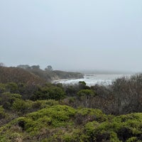 Photo taken at Año Nuevo State Park by Stephen W. on 12/31/2022