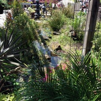 Encinal Nursery Garden Center In East End Photo Taken At Encinal Nursery By Teff A On 5 30 2017