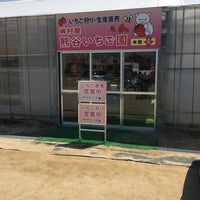 嶋村屋 熊谷いちご園 熊谷市 埼玉県