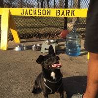 Foto tirada no(a) Jackson Bark por David M. em 4/4/2015