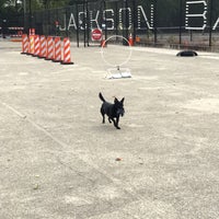 11/3/2017にDavid M.がJackson Barkで撮った写真