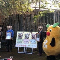 Photo taken at 東山動物園 コアラ舎 by ゆ . on 1/29/2023